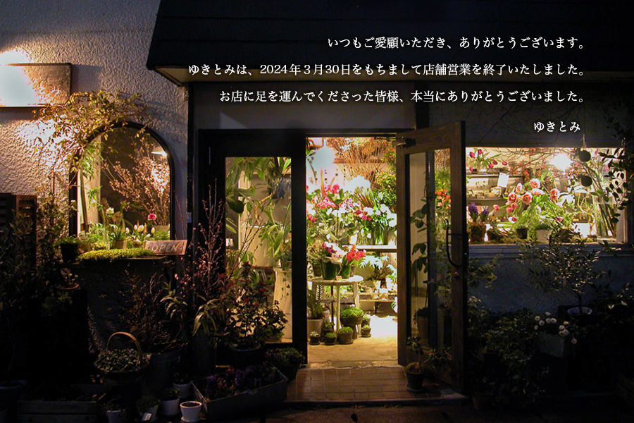 平塚市のおしゃれな花屋17選 便利な駅ナカ店やギフト向けショップも Shiori